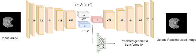 Figure 1 for Self-Supervised Out-of-Distribution Detection in Brain CT Scans