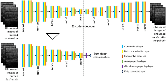 Figure 3 for A deep learning model for burn depth classification using ultrasound imaging