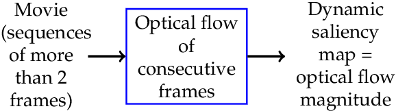 Figure 1 for Dynamical optical flow of saliency maps for predicting visual attention