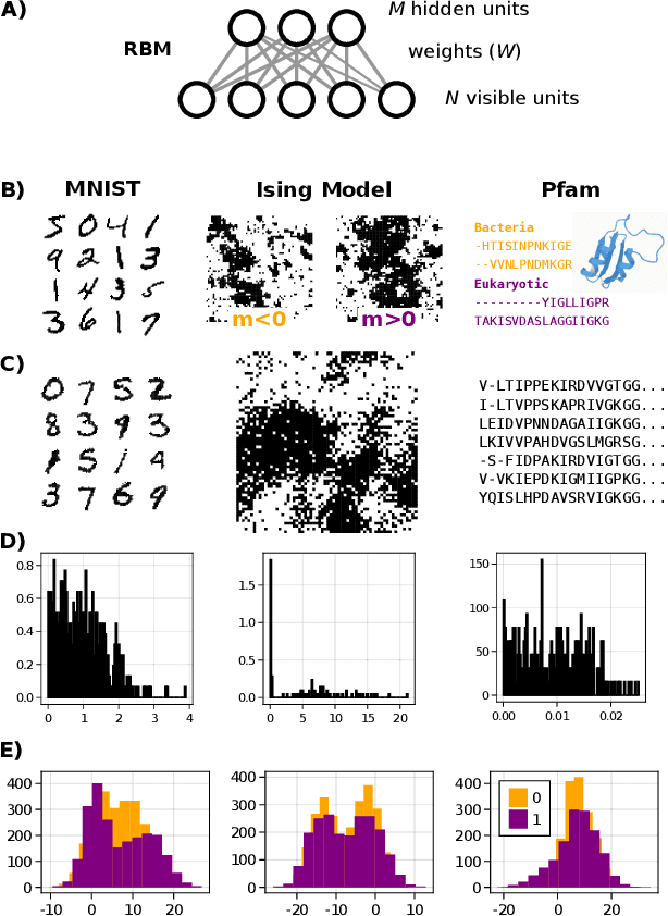 Figure 2 for Disentangling representations in Restricted Boltzmann Machines without adversaries