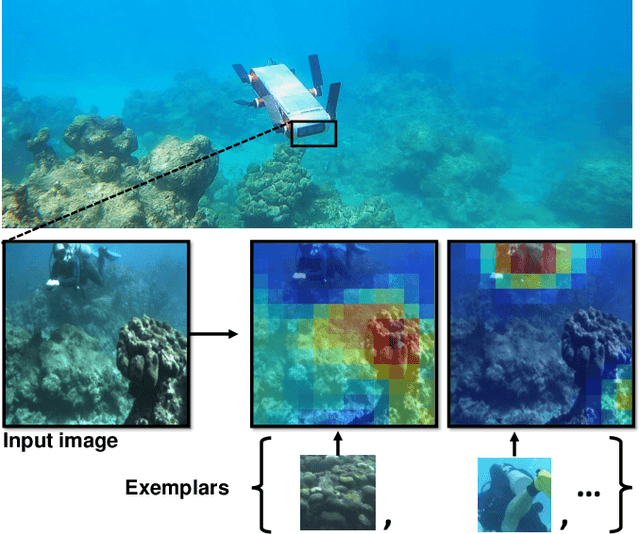 Figure 1 for One-Shot Informed Robotic Visual Search in the Wild