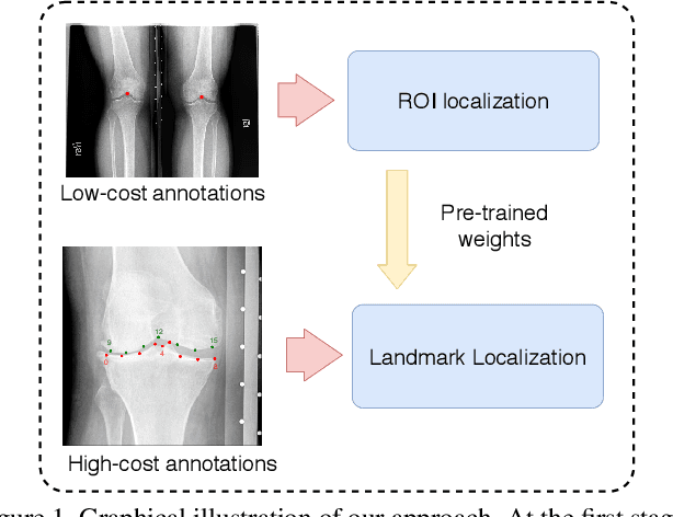 Figure 1 for KNEEL: Knee Anatomical Landmark Localization Using Hourglass Networks