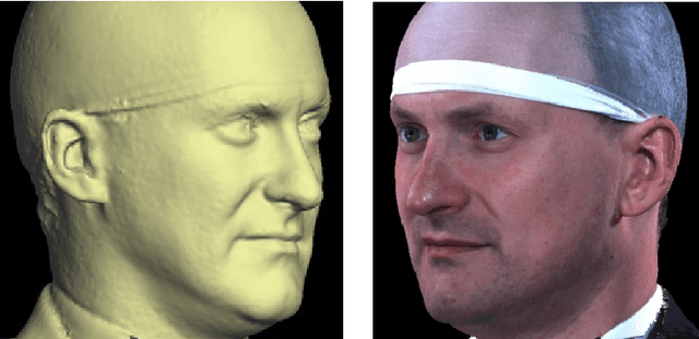 Figure 1 for Automatic 3D modelling of craniofacial form