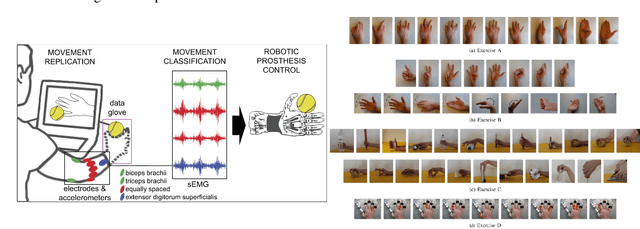 Figure 3 for Deep Transfer-Learning for patient specific model re-calibration: Application to sEMG-Classification