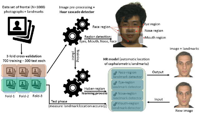 Figure 1 for Automatic cephalometric landmarks detection on frontal faces: an approach based on supervised learning techniques