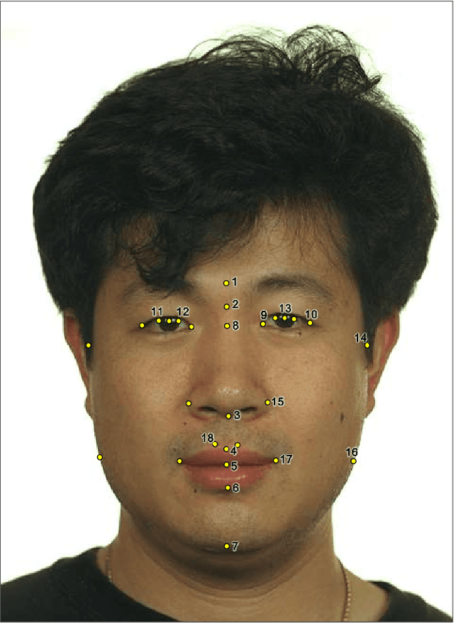 Figure 3 for Automatic cephalometric landmarks detection on frontal faces: an approach based on supervised learning techniques
