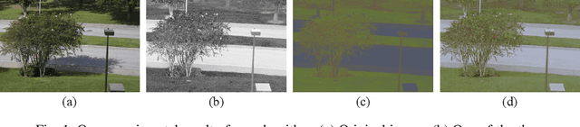 Figure 1 for Pixel-wise Orthogonal Decomposition for Color Illumination Invariant and Shadow-free Image