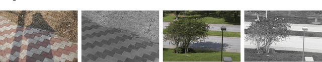 Figure 3 for Pixel-wise Orthogonal Decomposition for Color Illumination Invariant and Shadow-free Image