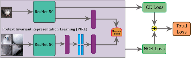 Figure 4 for Self-Supervised Learning for Fine-Grained Visual Categorization