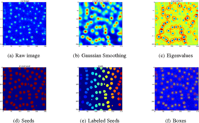Figure 1 for GRED: Graph-Regularized 3D Shape Reconstruction from Highly Anisotropic and Noisy Images