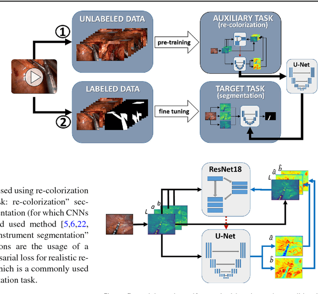 Figure 3 for Exploiting the potential of unlabeled endoscopic video data with self-supervised learning
