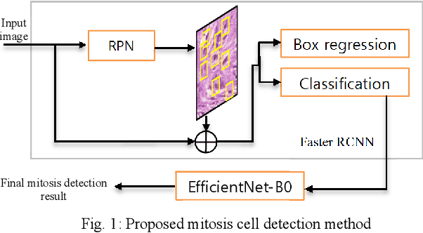 Figure 1 for Two-step Domain Adaptation for Mitosis Cell Detection in Histopathology Images