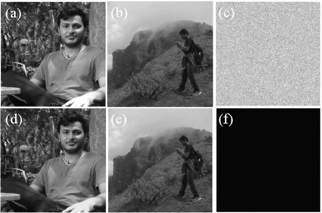 Figure 2 for Imaging through fog using quadrature lock-in discrimination