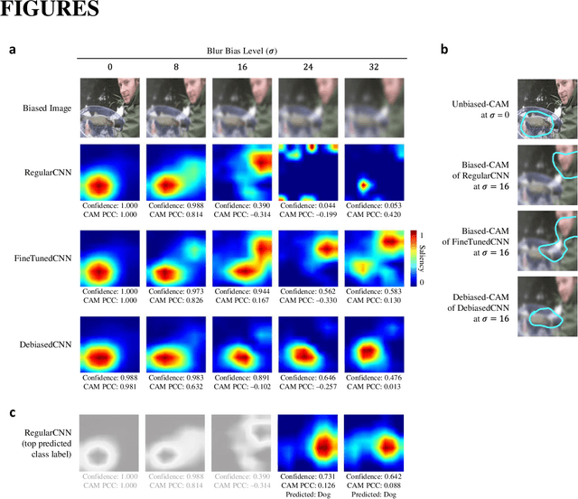 Figure 1 for Debiased-CAM for bias-agnostic faithful visual explanations of deep convolutional networks