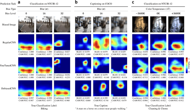 Figure 2 for Debiased-CAM for bias-agnostic faithful visual explanations of deep convolutional networks