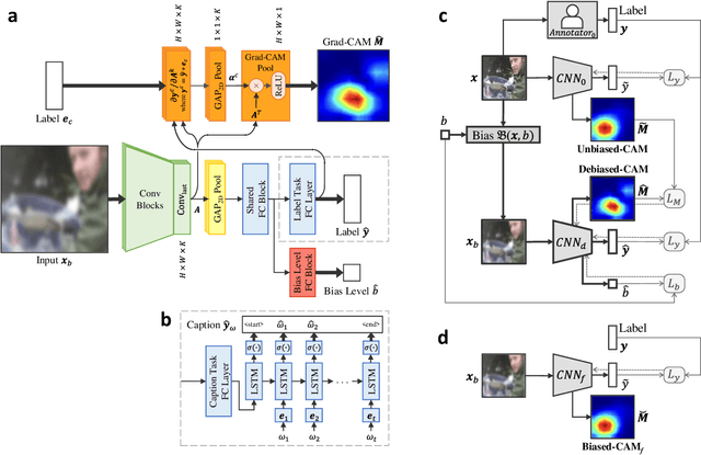 Figure 3 for Debiased-CAM for bias-agnostic faithful visual explanations of deep convolutional networks