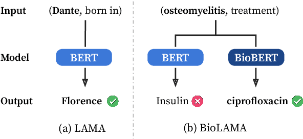 Figure 1 for Can Language Models be Biomedical Knowledge Bases?