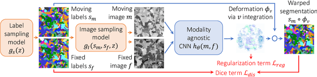 Figure 1 for Learning Multi-Modal Image Registration without Real Data
