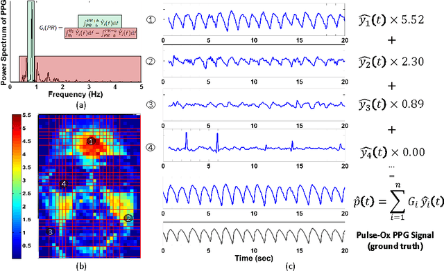 Figure 3 for DistancePPG: Robust non-contact vital signs monitoring using a camera