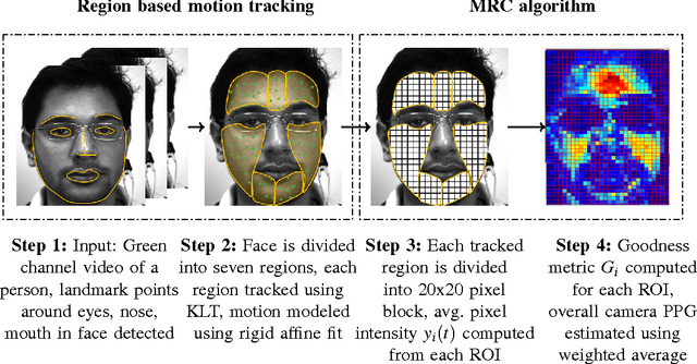 Figure 2 for DistancePPG: Robust non-contact vital signs monitoring using a camera