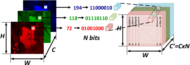 Figure 3 for Build a Compact Binary Neural Network through Bit-level Sensitivity and Data Pruning