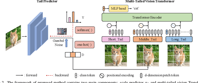 Figure 3 for Multi-Tailed Vision Transformer for Efficient Inference