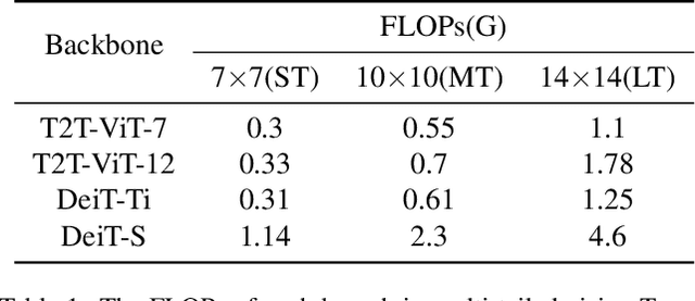 Figure 2 for Multi-Tailed Vision Transformer for Efficient Inference