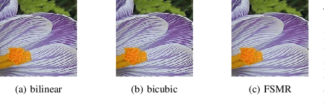 Figure 2 for Increasing the Accuracy of a Neural Network Using Frequency Selective Mesh-to-Grid Resampling