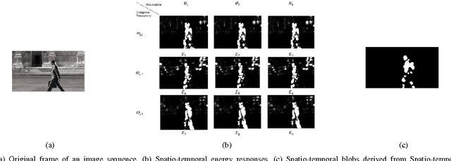 Figure 1 for Object Detection by Spatio-Temporal Analysis and Tracking of the Detected Objects in a Video with Variable Background