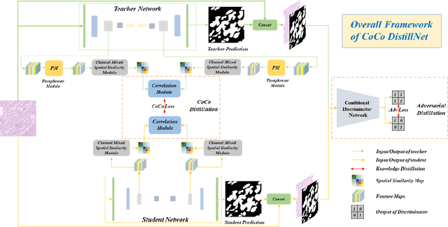 Figure 1 for CoCo DistillNet: a Cross-layer Correlation Distillation Network for Pathological Gastric Cancer Segmentation