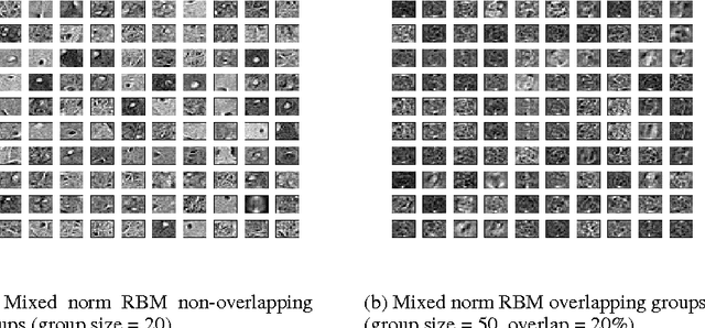 Figure 1 for Sparse Penalty in Deep Belief Networks: Using the Mixed Norm Constraint