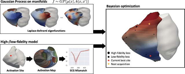 Figure 1 for Learning cardiac activation maps from 12-lead ECG with multi-fidelity Bayesian optimization on manifolds