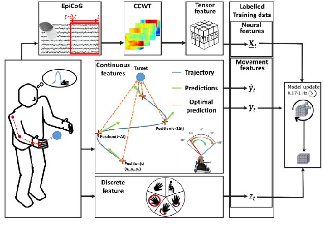 Figure 4 for An adaptive closed-loop ECoG decoder for long-term and stable bimanual control of an exoskeleton by a tetraplegic