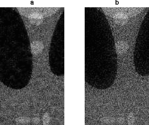 Figure 2 for Accelerated graph-based nonlinear denoising filters