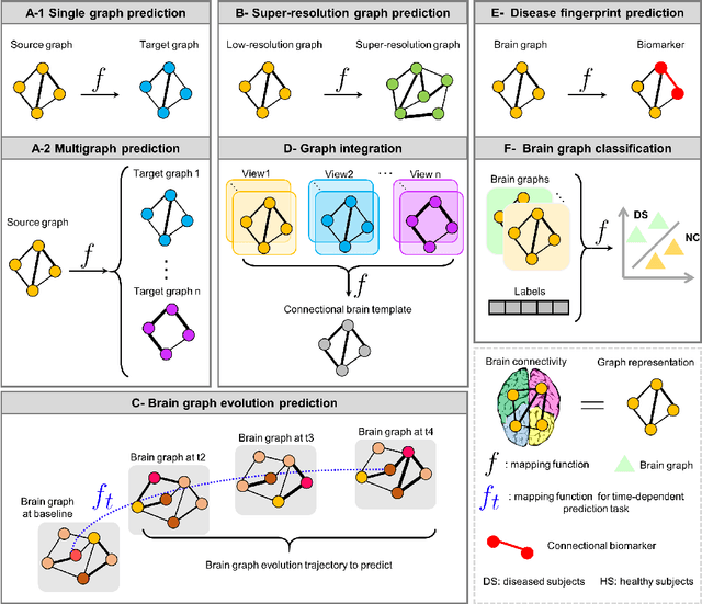 Figure 2 for Graph Neural Networks in Network Neuroscience