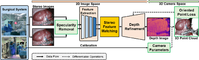 Figure 1 for 3D endoscopic depth estimation using 3D surface-aware constraints