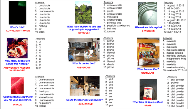 Figure 1 for Why Does a Visual Question Have Different Answers?