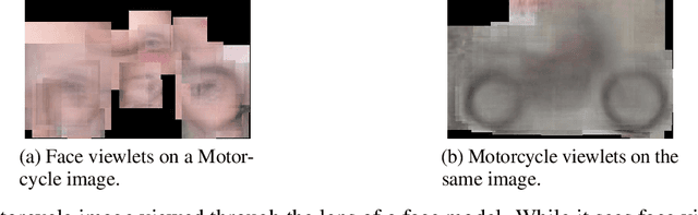 Figure 4 for Brain-inspired automated visual object discovery and detection