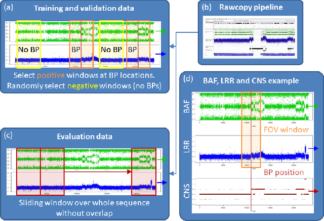 Figure 1 for Deep SNP: An End-to-end Deep Neural Network with Attention-based Localization for Break-point Detection in SNP Array Genomic data