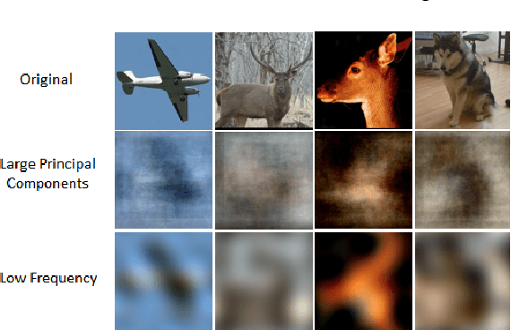 Figure 1 for Principal Components Bias in Deep Neural Networks