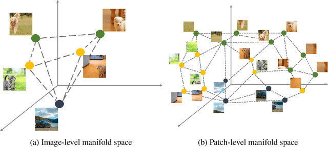 Figure 1 for Efficient Vision Transformers via Fine-Grained Manifold Distillation