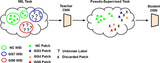 Figure 2 for Self-learning for weakly supervised Gleason grading of local patterns