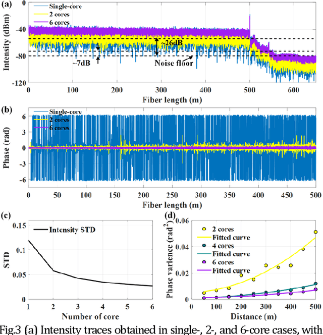 Figure 2 for Multi-core fiber enabled fading noise suppression in φ-OFDR based quantitative distributed vibration sensing