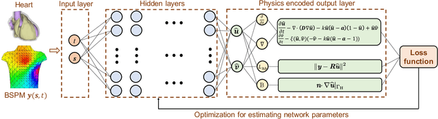 Figure 1 for Physics-constrained Deep Learning for Robust Inverse ECG Modeling