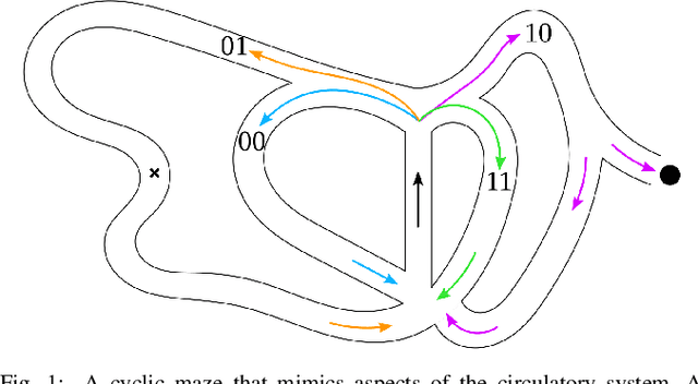 Figure 1 for Bayesian Particles on Cyclic Graphs