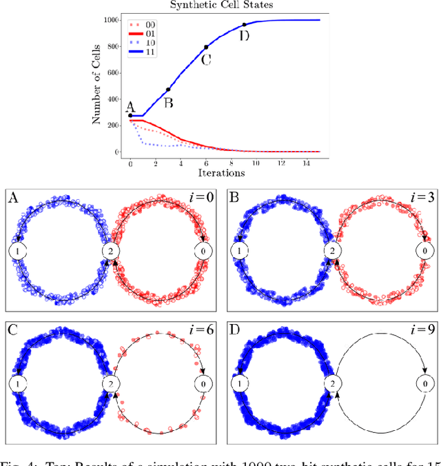 Figure 4 for Bayesian Particles on Cyclic Graphs