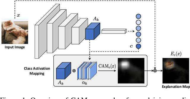 Figure 1 for Revisiting The Evaluation of Class Activation Mapping for Explainability: A Novel Metric and Experimental Analysis