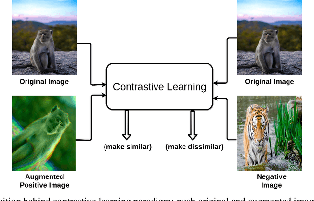 Figure 1 for A Survey on Contrastive Self-supervised Learning