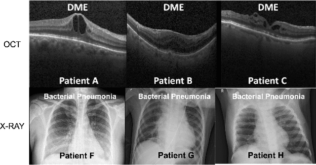 Figure 2 for DECAL: DEployable Clinical Active Learning