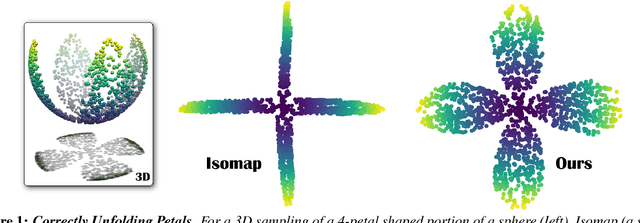 Figure 1 for Parallel Transport Unfolding: A Connection-based Manifold Learning Approach